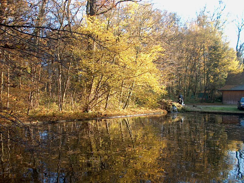 Nyphenburger Park 043 